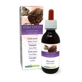 Poria cocos (Wolfiporia extensa or Poria cocos) Fungus or Mushroom Alcohol-Free Mother Tincture Naturalma | Liquid Extract Drops 120 ml | Food Supplement | Vegan