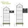 Metal Trellis for Climbing Plants Outdoor, 70 * 19.7 Inch