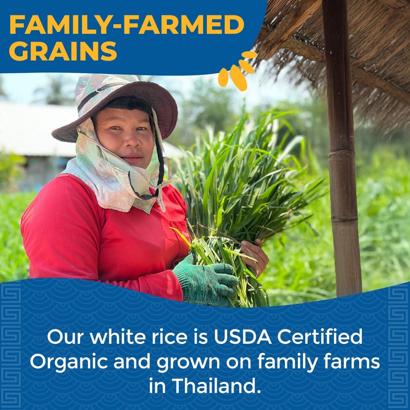 Lotus Foods Organic White Jasmine Rice - Jasmine Rice, Gluten