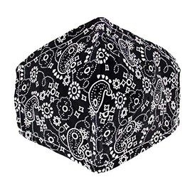 Zac's Alter Ego Non Medical Paisley Print Breathable Cotton Face Mask