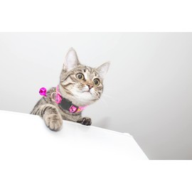 Breakaway Cat Collar with Bell, Kitten Necklace,Kitty Collar for Cat Puppy 7 1/2-12 1/2 in for Girl Boy Female Male Cats (Rose red + Pink)