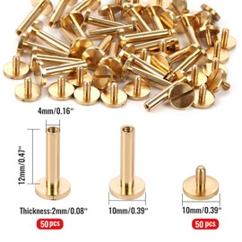 Chicago Binding Screws - 4 mm x 12 mm Binding Post - 10 mm Phillips Nut - Chicago Screw Binding Post Set for DIY Leather Decorations, Scrapbooking, Photo Albums, Bookbinding (Brass, 50 Pieces)