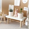 Small Planter Stand Multipurpose Stable Sturdy Structure Succulent Planter Stand