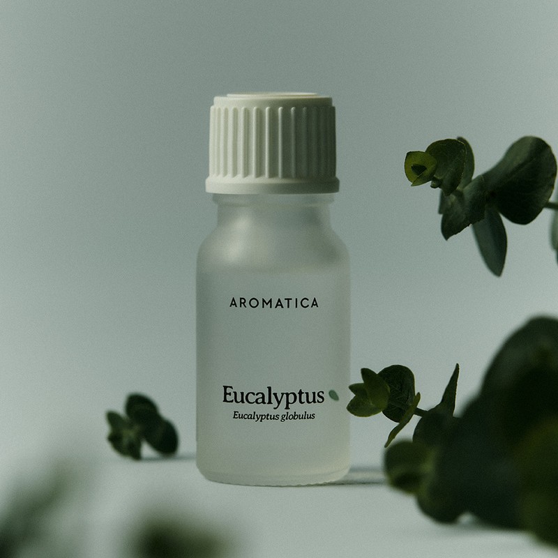 AROMATICA Essential Oil 10ml - (NEW) Eucalyptus
