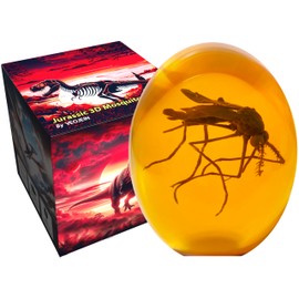 VEOJEIN Jurassic 3D Mosquito in Amber Resin [3D-B], Detailed Prehistoric Design, Collectible Paperweight, Cane Park, Dinosaur Gift Idea