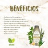 Shampoo Orgánico Ozonizado De Romero y Aloe Vera y Vitamina
