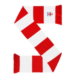 England Embroidered Knit Bar Scarf