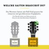 BELFORT® Acoustic Guitar Strings 012/053 - Premium Phosphor Bronze (6