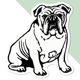 Medium 100mm 'English Bulldog' Permanent Sticker Decal for Cars/Windows/Bins/Walls etc (DW00025342)