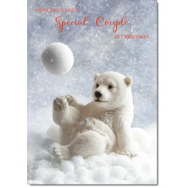 doodlecards Special Couple Christmas Card Polar Bear and Snowball Medium Size Christmas Card for Special Couple with Plain Envelope