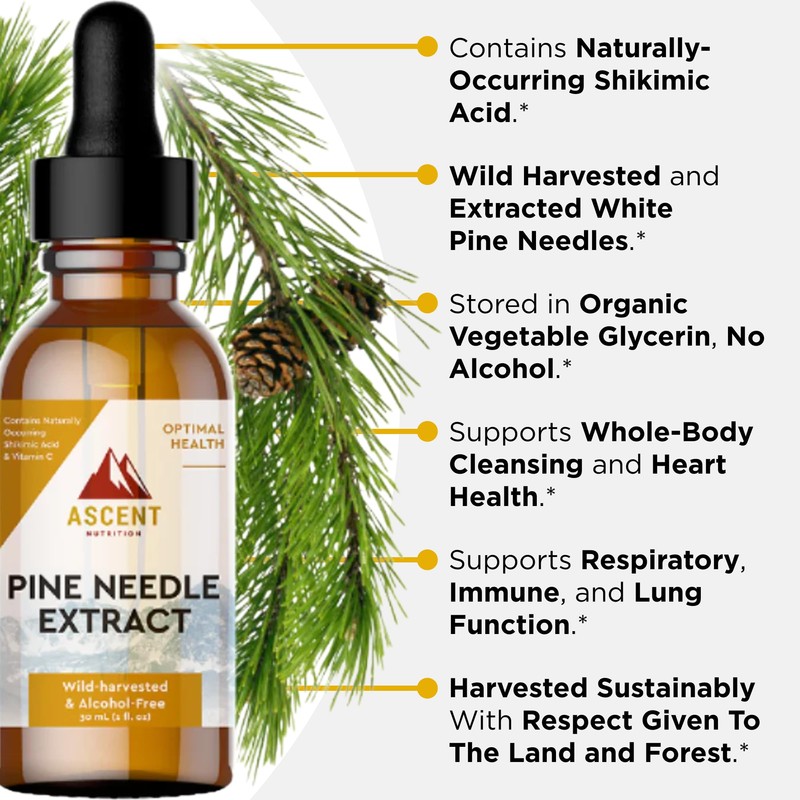 Ascent Nutrition Pine Needle Extract | Wild-Harvested & Alcohol-Free |