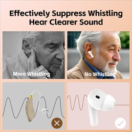 Hearing Aids for Seniors, Rechargeable Hearing Aid with Noise Cancellation (LT-2302BTD)