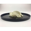 [Oriental Swallow Nest] Kansubame Daienjo, Original Imported Natural Bird's Nest
