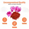 Beyond Saffron – Premium Super Negin Saffron Threads | Pure