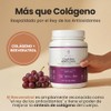 Vitasei Colágeno Hidrolizado Polvo Péptidos Resveratrol Vitamina Apoyo Cabello Piel