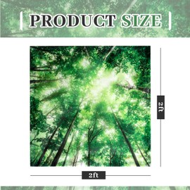 VIHOSE 4 Pcs 2 x 2 Feet Fluorescent Light Covers for Ceiling Lights Classroom Magnetic Light Filters for Reducing Harsh Glare Flicker for Office Classroom Home Drop Ceiling(Forest)