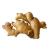 Gasco Gass Ginger Ivo Tea, 0.08 oz (2 g) x