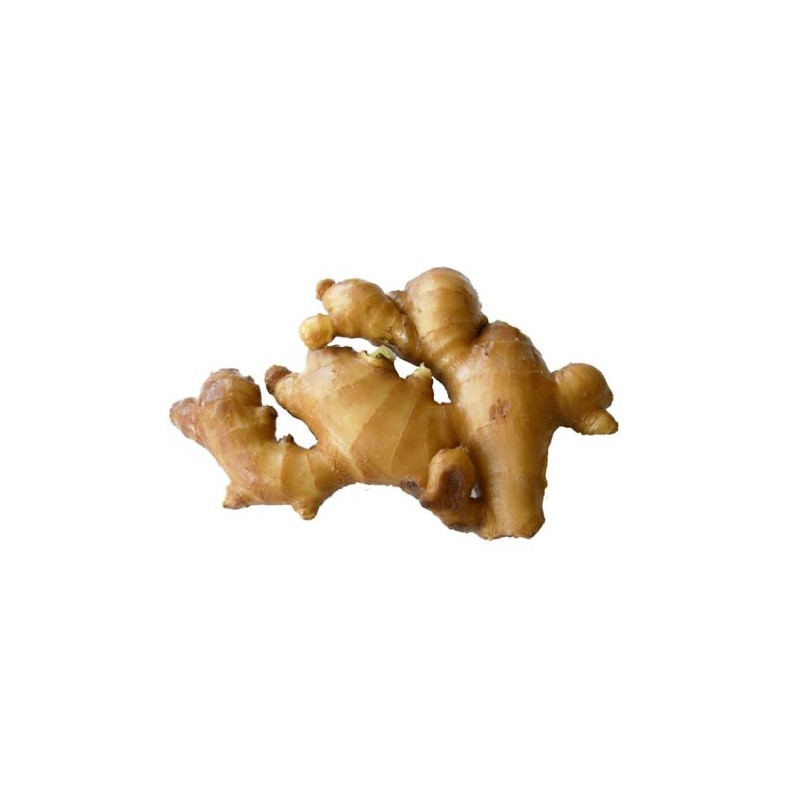 Gasco Gass Ginger Ivo Tea, 0.08 oz (2 g) x