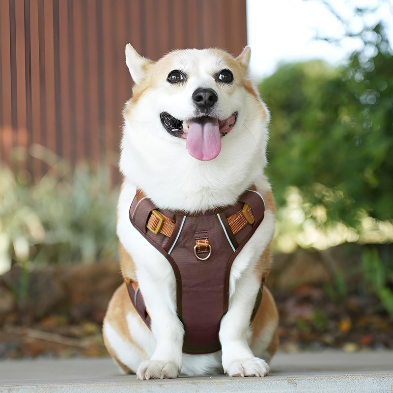 Paipeper Dog Harness, Small Dog Harness, Medium Size Dog Harness,