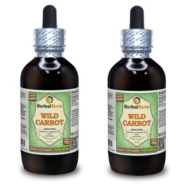 Wild Carrot (Daucus Carota) Glycerite, Dried Top (Seed) Alcohol-FREE Liquid Extract (Brand name: HerbalTerra, Proudly made in USA) 2x4 fl.oz (2x120 ml)
