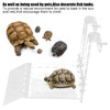 Turtles Platform Tortoise Ramp Acrylic Relaxing Rack Sun Platform with