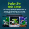 GloFish Betta Trilogy Aquarium, 3 Gallons, Includes LED Lights and