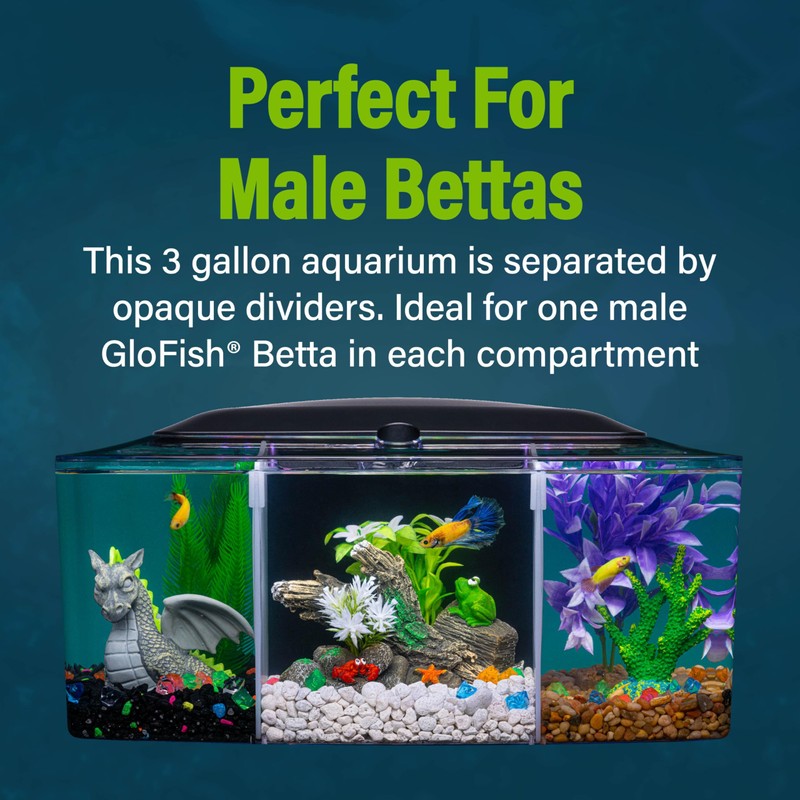 GloFish Betta Trilogy Aquarium, 3 Gallons, Includes LED Lights and