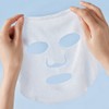 Royal Skin Hyaluronic Acid Aquaring Mask Pack Set (10 sheets)