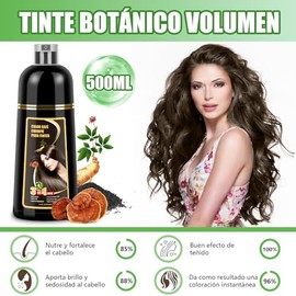 Shampoo para Canas, Hair Dye Shampoo 3 en 1 de Funciones de cuidado cabello, Shampoo con Tinte para Cubrir Canas con Cabello Extractos Jengibre Ginsen