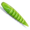Nays ND rubber bait made of TPE (thermoplastic elastomer), perch