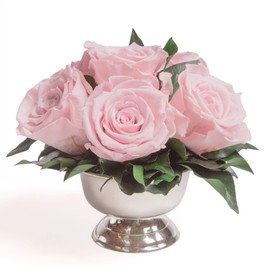 ROSEMARIE SCHULZ Heidelberg Infinity Roses in Silver Bowl - 6 Eternal Preserved Roses - Rose Box Flower Box (Pink)