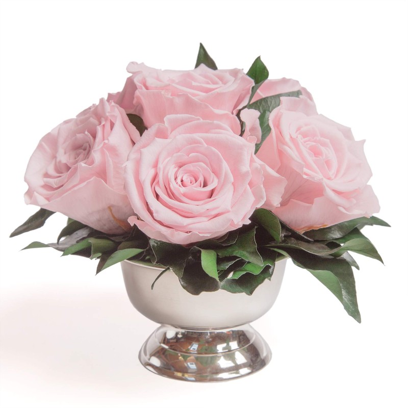 ROSEMARIE SCHULZ Heidelberg Infinity Roses in Silver Bowl - 6
