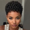 Short Afro Kinky Curly Wig, Natural Black, Pixie Cut Style (Black)