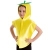 Charlie Crow Lemon Fruit Costume for kids 3-8 years.