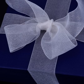 Outus Outus Shimmer Sheer Organza Ribbon Gift Wrapping Ribbon Sheer Chiffon Ribbon Tulle Ribbon Mesh Ribbon (White, 1.6 Inch)