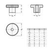 Ganter Normelemente High knurled nut, DIN 466-M4, burnished steel, pack