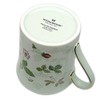 Wedgwood Wild Strawberry Pastel Beaker Green