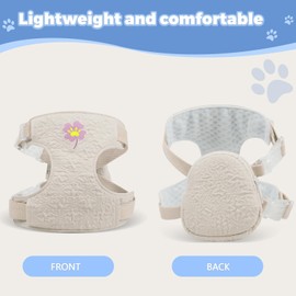 FEimaX Dog Harness with Backpack Adjustable Breathable Cute Pet Vest for Small Medium Dogs, Soft Padded Puppy Cat Harness with Lead Set for Outdoor Travel Walking