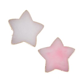ALXBSONE Resin Manicure Palettes 2 Pieces Nail Accessories Manicure Painted Palette Nail Design Nail Art Manicure Tool (Star)