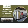Out-Grow 50/50 Straw & Manure Mushroom Substrate (1 lb Bag)