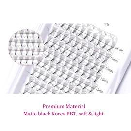 Fan Eyelashes, 6D Eyelashes, 0.05 mm Thick, D Curl, 8-14 mm Eyelash Extensions, Russian Volume Eyelashes, Prefabricated Fan, Premade Russian Lashes, Eyelash Extensions (6D-0.05D-MIX8-14)