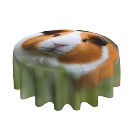 WZYWHJ Guinea Pigs Printing Round Decorative Tablecloth 60 in can be Washed and reused for Round Table Dining Table Coffee Table