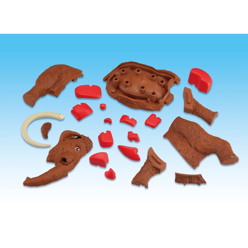 Demolition Puzzle Science Mammoth Restoration Puzzle