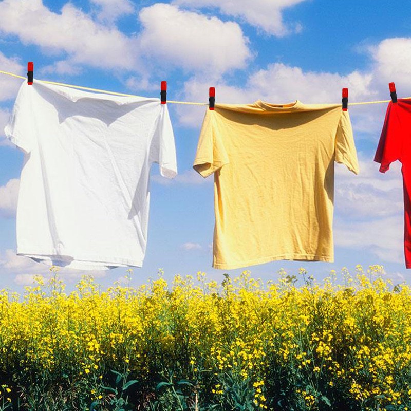 GDFYMI 2 Inch Spring Clamps, Heavy Duty Metal Strong Clips