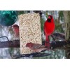 Mr. Bird Safflower Seed Cylinder Bird Feeder 1.75lb Attract Cardinals