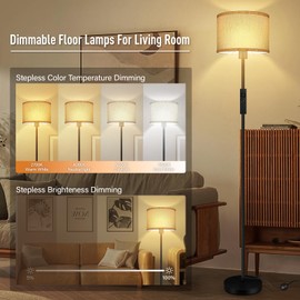 Floor Lamps for Living Room, Stepless Dimmable Floor Lamp with Remote, 2700K-6500K Colors Temperature & Brightness Adjustable,10W/1200LM Bright LED Floor Lamp, Modern Standing Lamp for Bedroom/Office