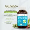 BIOSUPLE | Café verde extracto estandarizado 60 capsulas, Adicionadas con