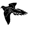 Dove Decal – Dove Hunting Decal – 2501 (Medium, White)