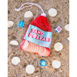 Sand Dollars Dice Game | Beach Game and Pool Game for the Whole Family | Screen for Kids Adults and Grandparents | Perfect for Vacation, Lake Cabins and Beach Houses