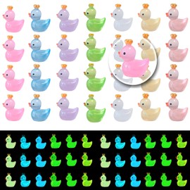 EVDERS 28Pcs Luminous Mini Resin Duck Animals Figures, Glow in The Dark Miniature Resin Duck Figurines for Desk Decor, Dollhouse, Aquarium, Small Animals Figurines for Party Favors, Christmas Decor